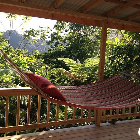 Vila Roots Jungle Retreat Marigot Exteriér fotografie