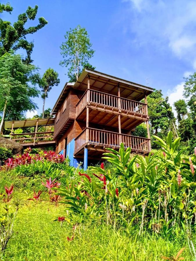 Vila Roots Jungle Retreat Marigot Exteriér fotografie