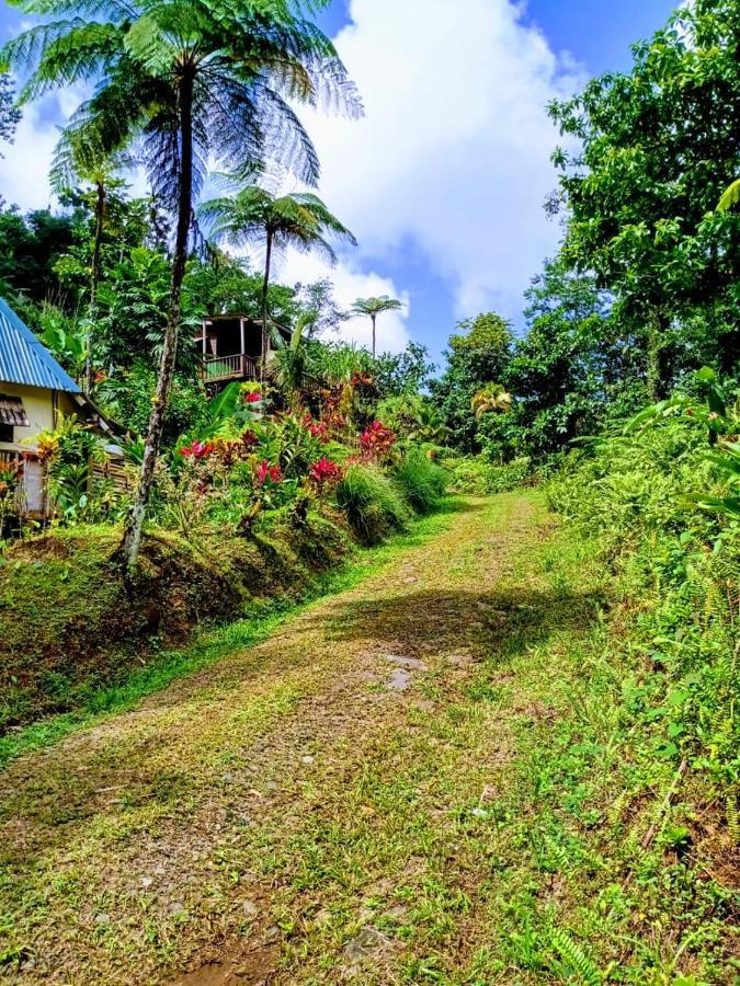 Vila Roots Jungle Retreat Marigot Exteriér fotografie