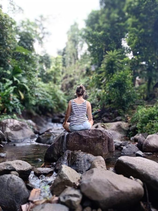 Vila Roots Jungle Retreat Marigot Exteriér fotografie