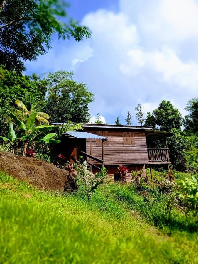 Vila Roots Jungle Retreat Marigot Exteriér fotografie