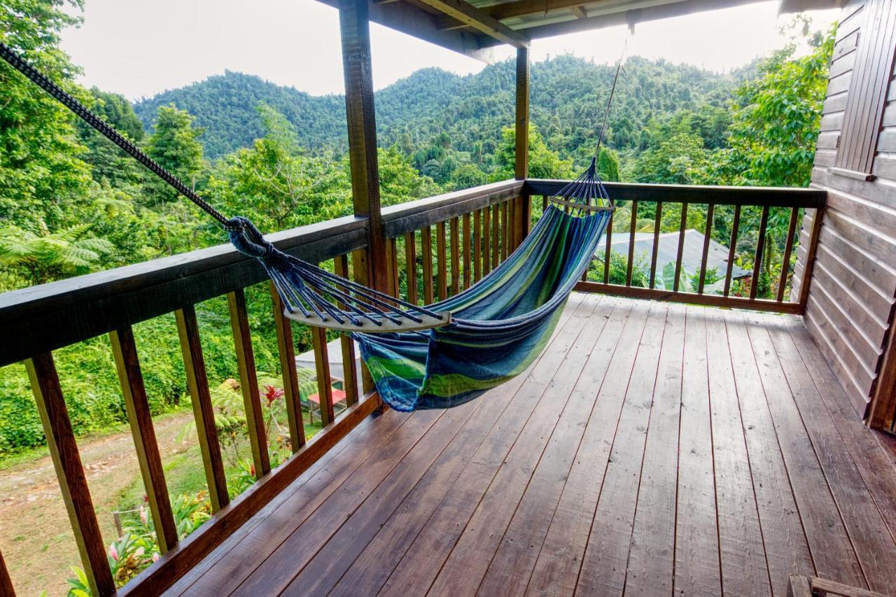 Vila Roots Jungle Retreat Marigot Exteriér fotografie