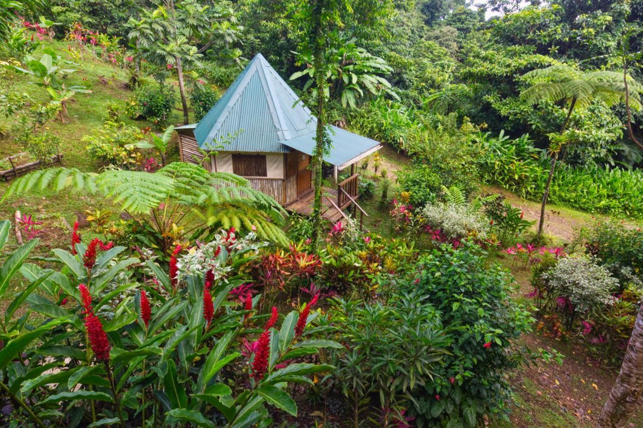 Vila Roots Jungle Retreat Marigot Exteriér fotografie