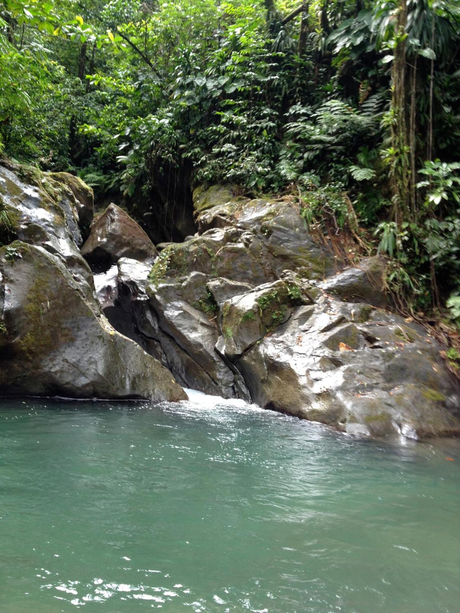 Vila Roots Jungle Retreat Marigot Exteriér fotografie