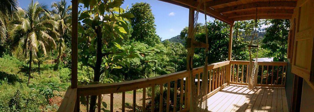 Vila Roots Jungle Retreat Marigot Exteriér fotografie