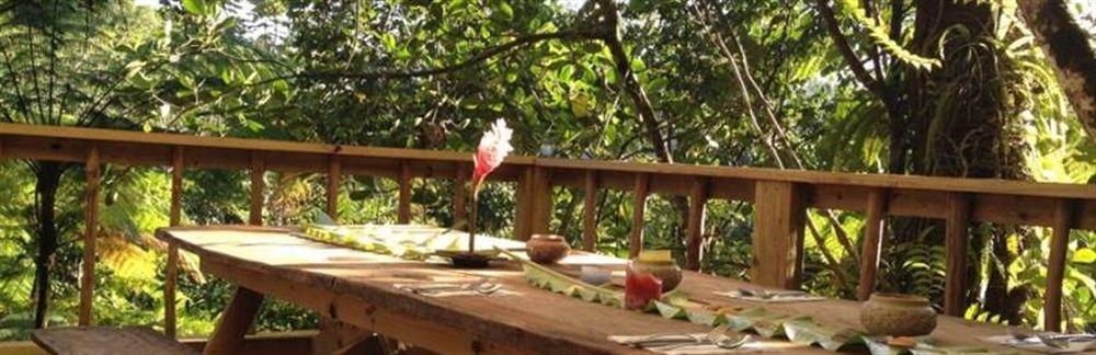 Vila Roots Jungle Retreat Marigot Exteriér fotografie