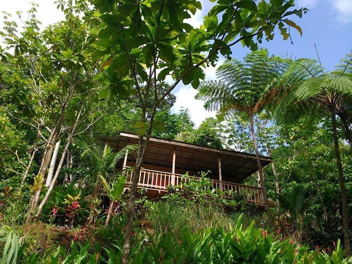 Vila Roots Jungle Retreat Marigot Exteriér fotografie