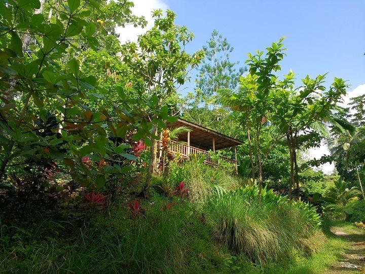 Vila Roots Jungle Retreat Marigot Exteriér fotografie