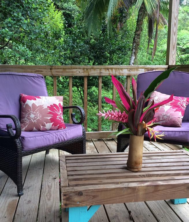 Vila Roots Jungle Retreat Marigot Exteriér fotografie