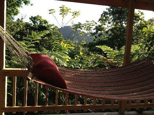 Vila Roots Jungle Retreat Marigot Exteriér fotografie