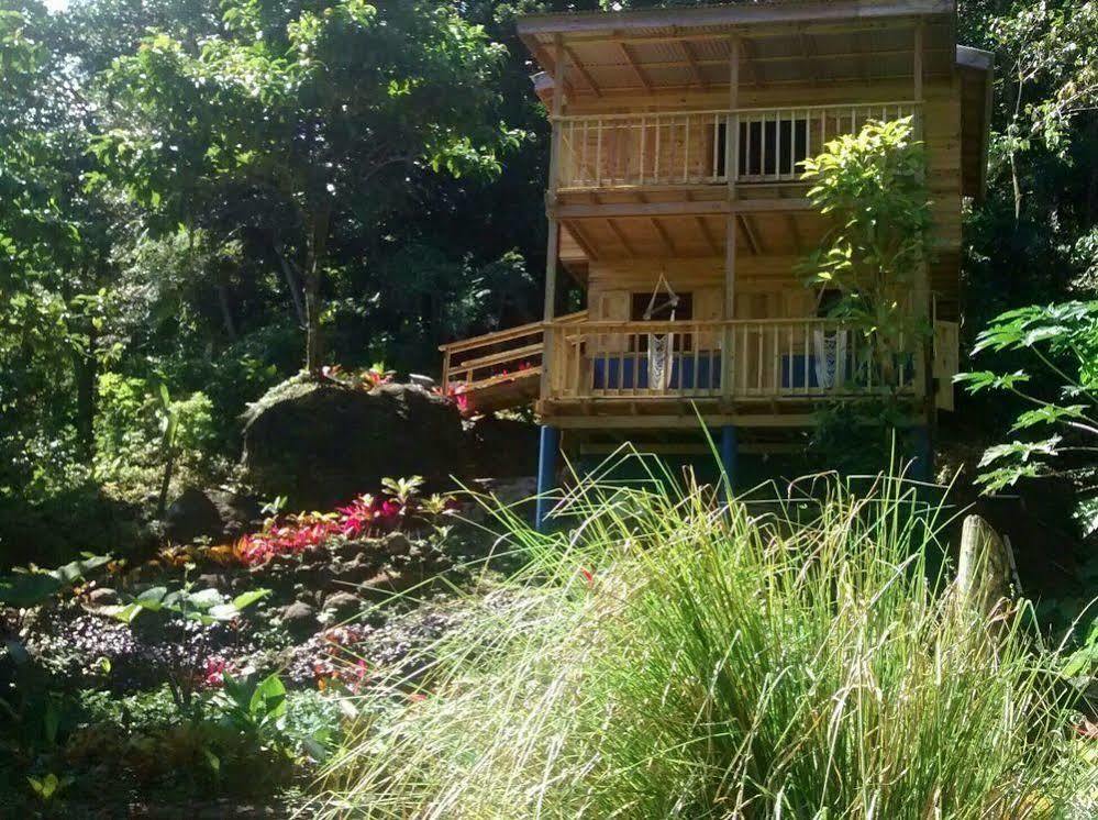 Vila Roots Jungle Retreat Marigot Exteriér fotografie